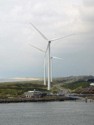 Huge windmills generate electricity
